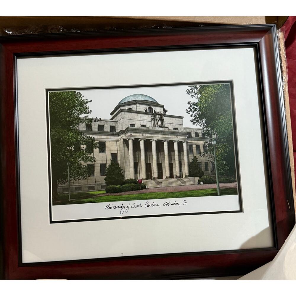 NCAA South Carolina Fighting Gamecocks University Academic Framed